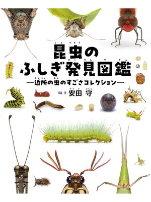 cover image of 昆虫のふしぎ発見図鑑 近所の虫のすごさコレクション